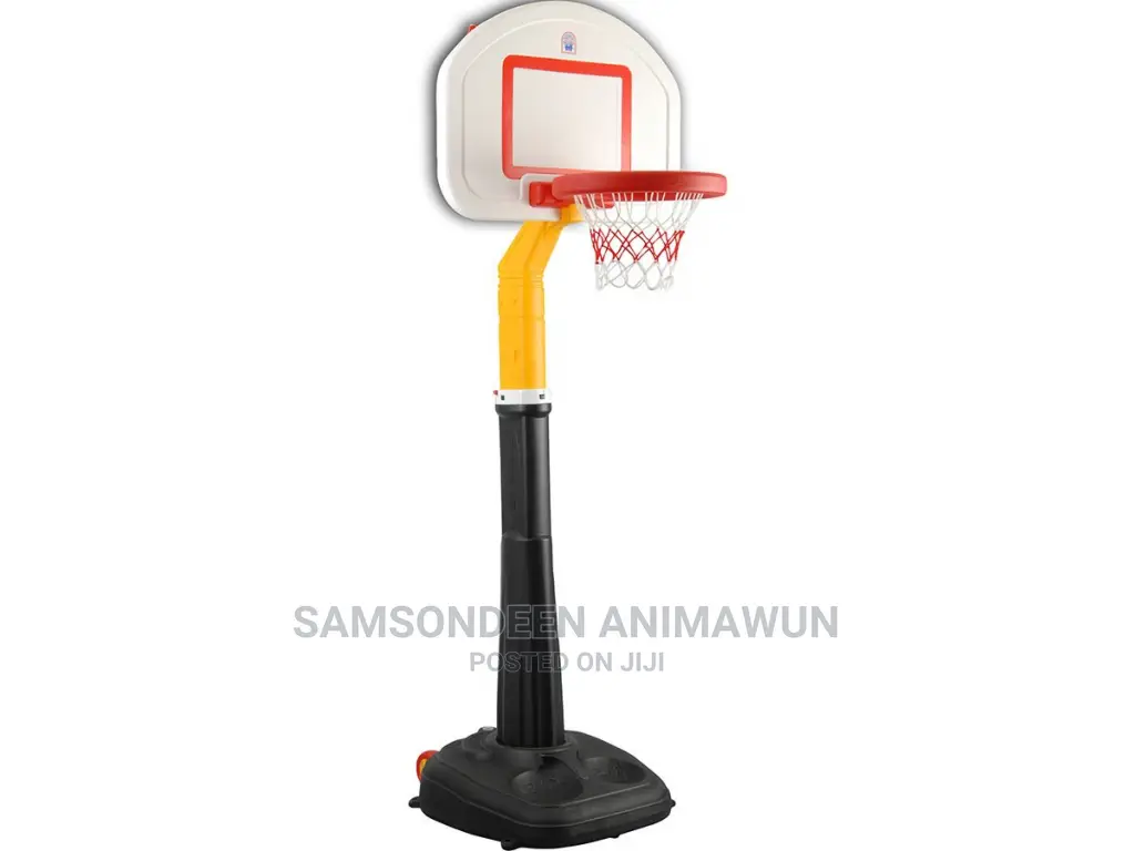Professional Basketball Set