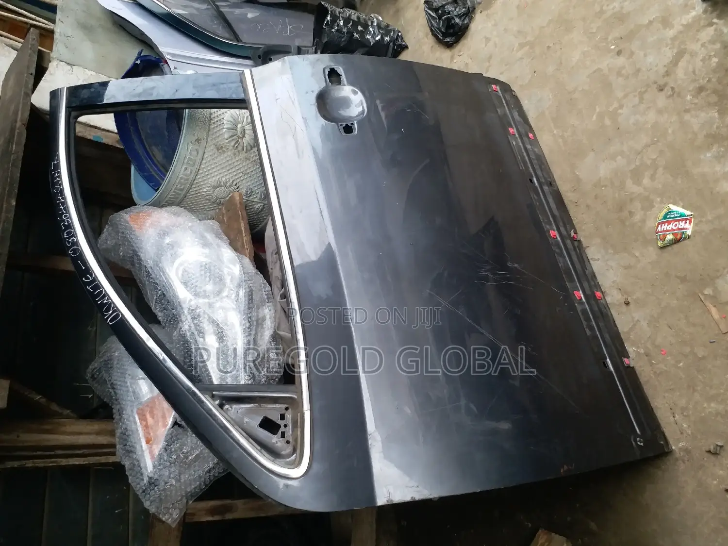 Hyundai Vera Cruz Door