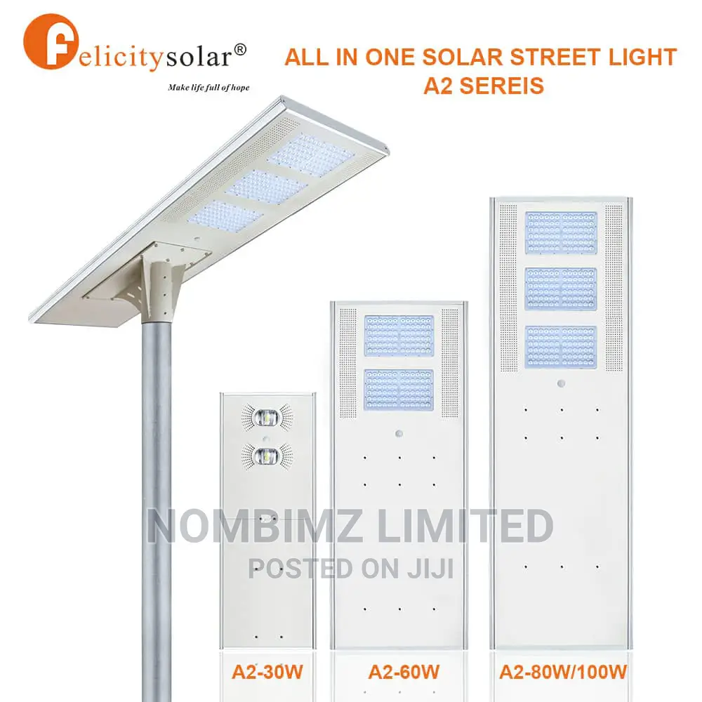 100W Integrated Solar LED Street Light