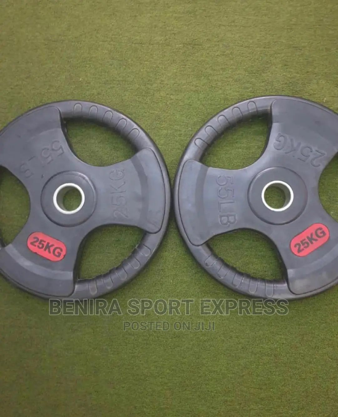 Pair Of 25kg Olympic Plate