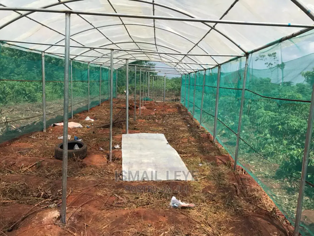 Green House