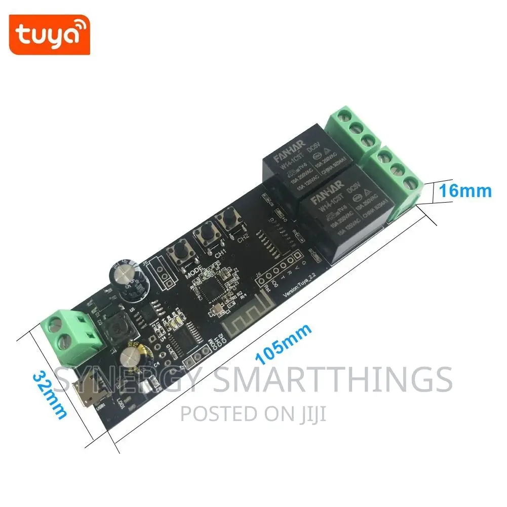 Smart Remote Control 2ch Relay Switch Module for Smart Gate