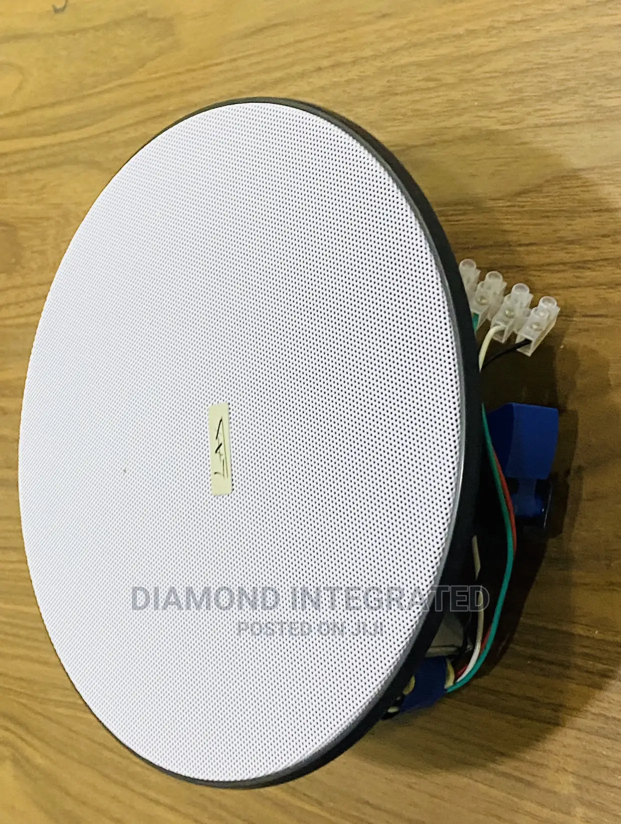 20 Watts Frameless Subwoofer Ceiling Speaker