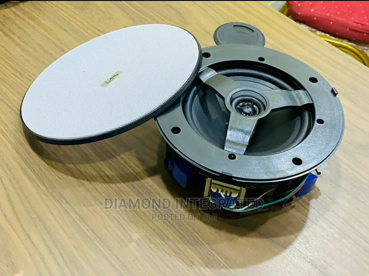 Frameless Subwoofer 20 Watts Ceiling Speaker