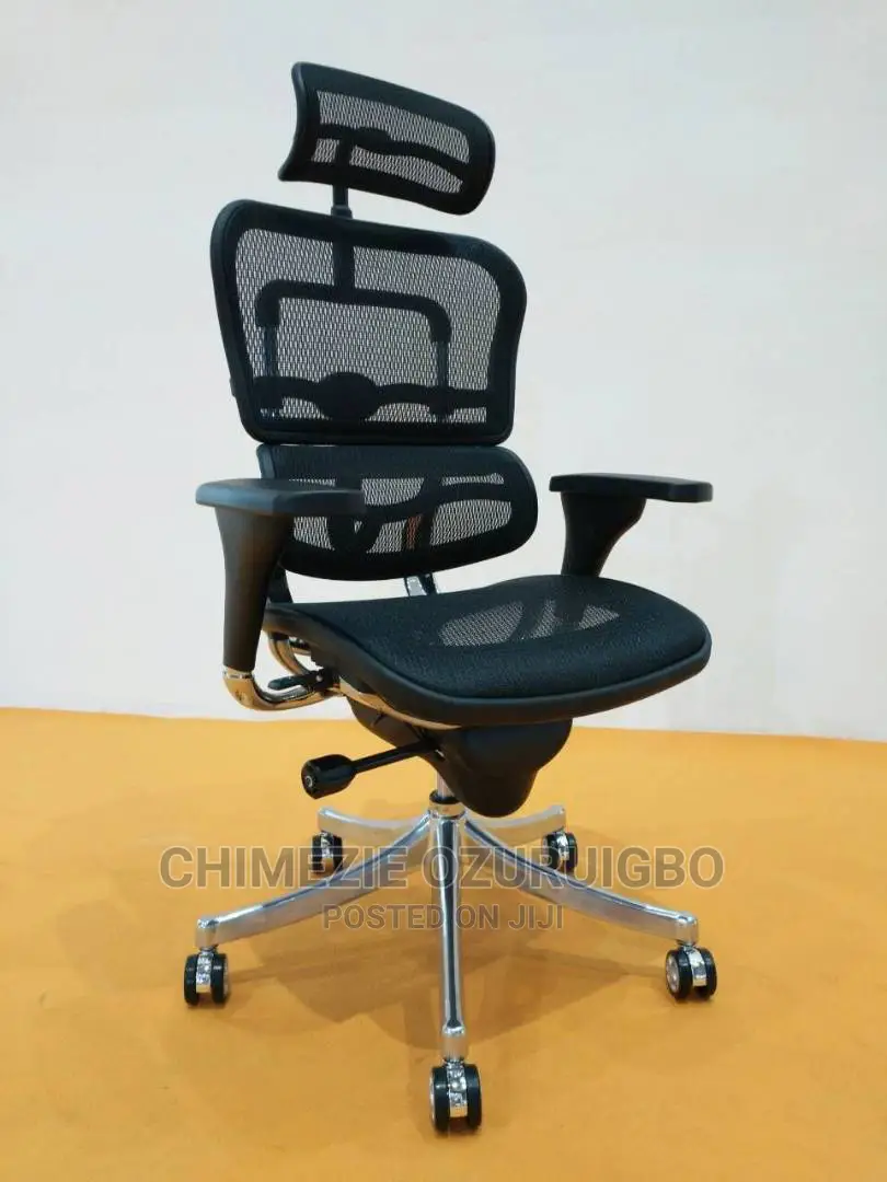 Executive Mesh Chair With Headrest