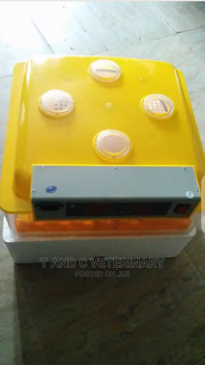 128 Eggs Incubator