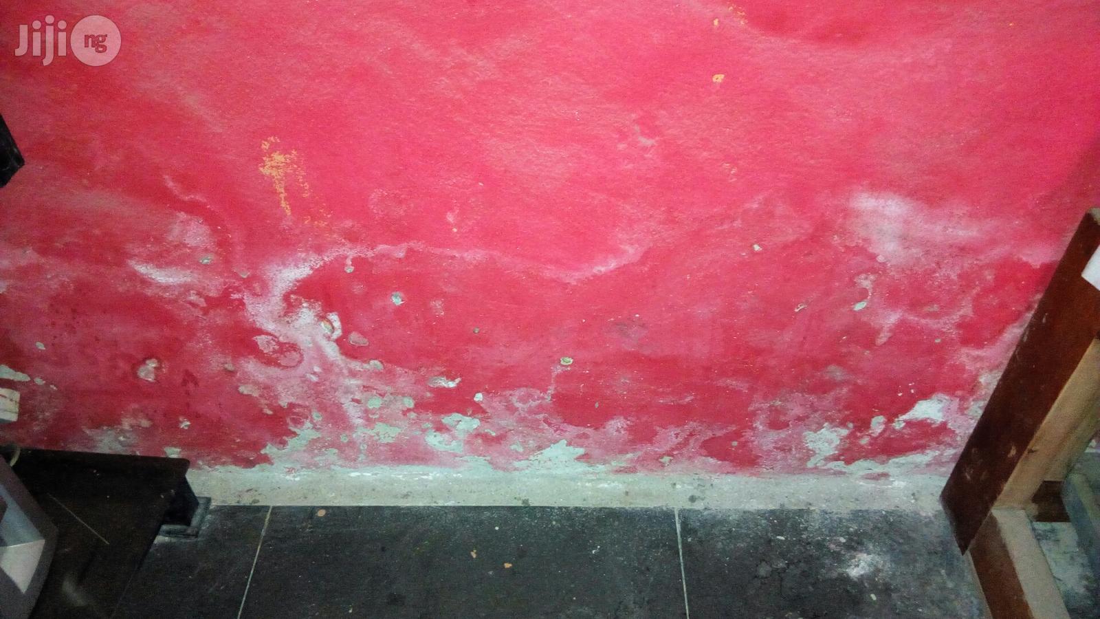 Best Damp Control, Ground Water And Basement Moulding