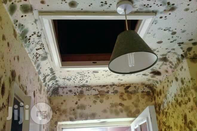 Best Damp Control, Ground Water And Basement Moulding