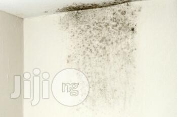 Best Damp Control, Ground Water And Basement Moulding