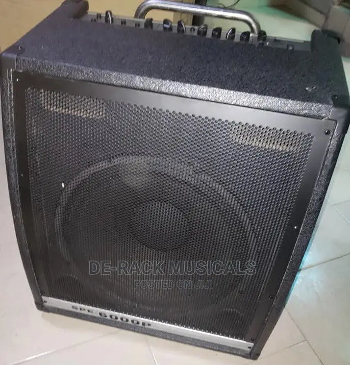 The Best Professional Bass Guitar Combo 15 Inches.