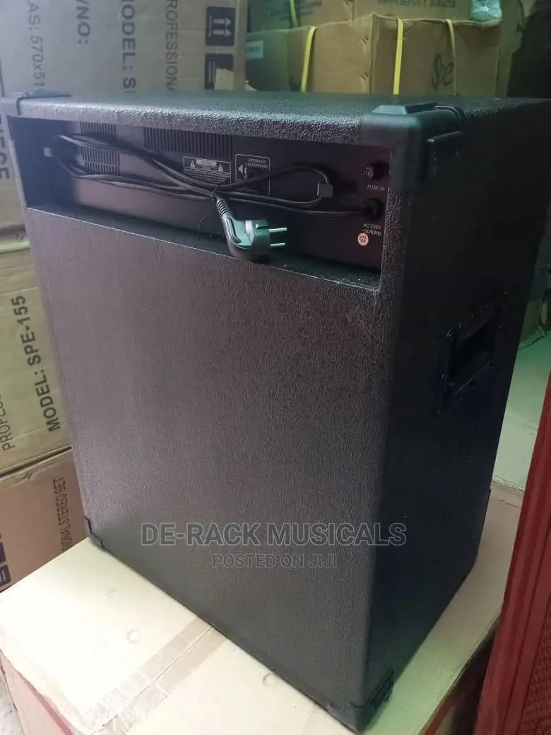 The Professional Bass Guitar Combo 15 Inches