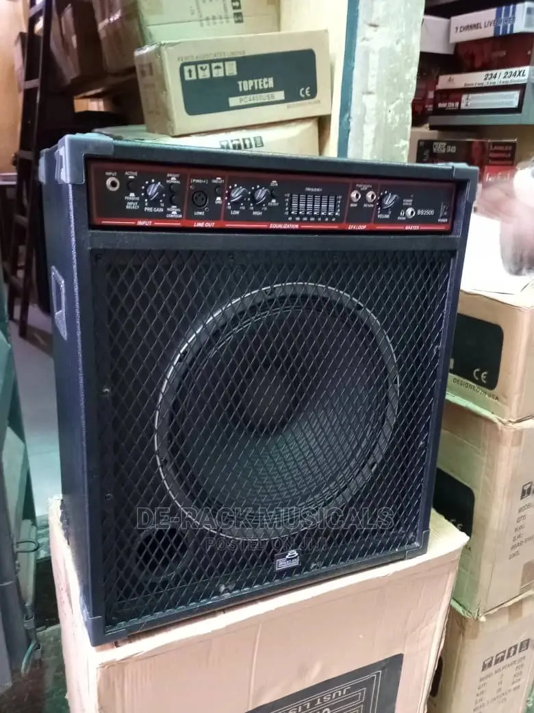 The Professional Bass Guitar Combo 15 Inches