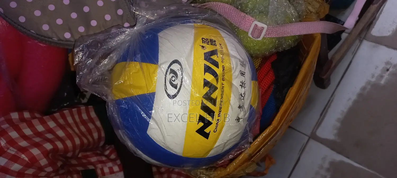Ninja Quality Volleyball
