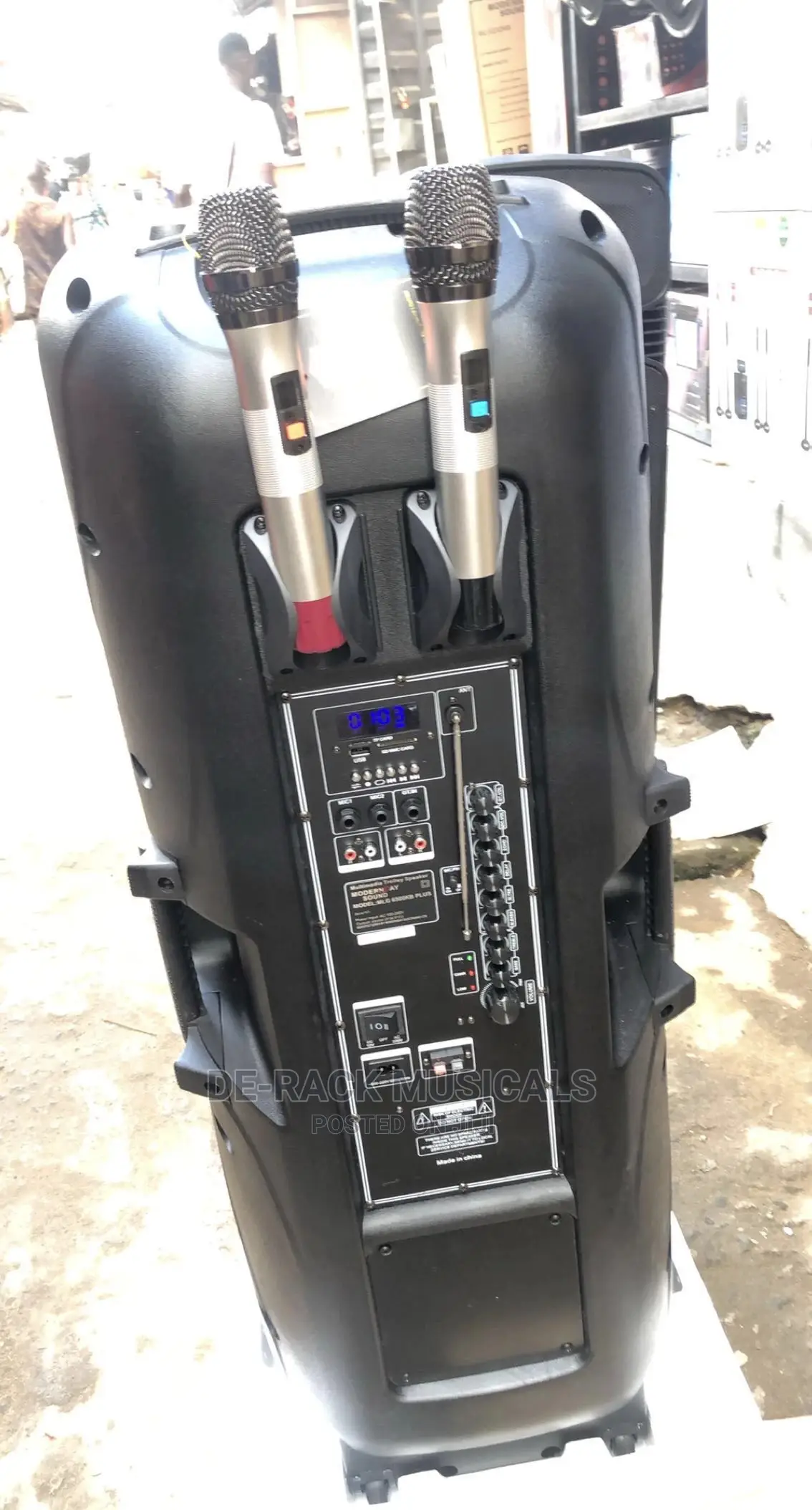 The Best Professional Double PA System With 2 Wireless Mic