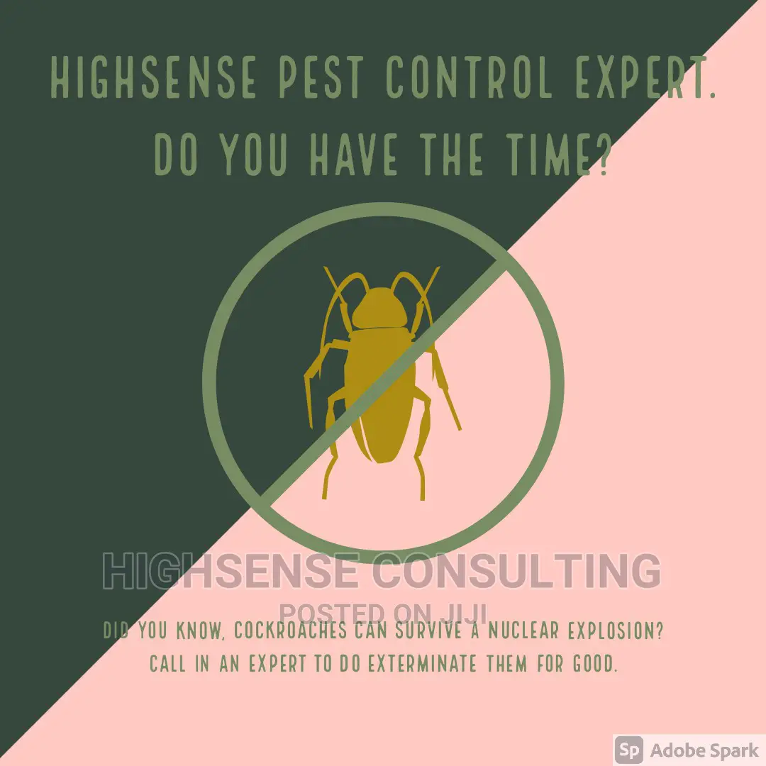 Professional Fumigation Service or Your Money Back