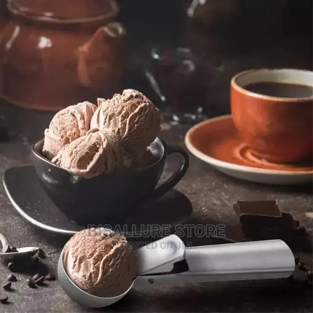 Heavy Duty Ice Cream Scoop