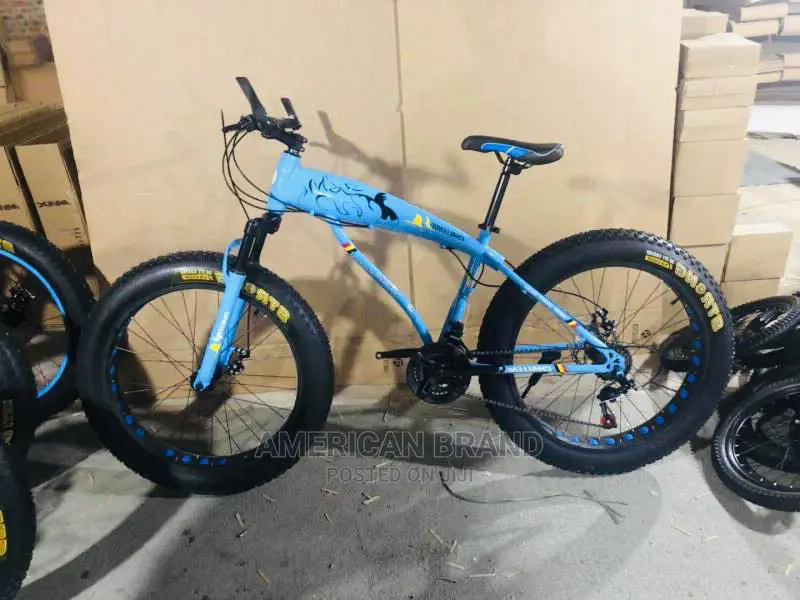 Brand New Fat Tire Bicycle Standard