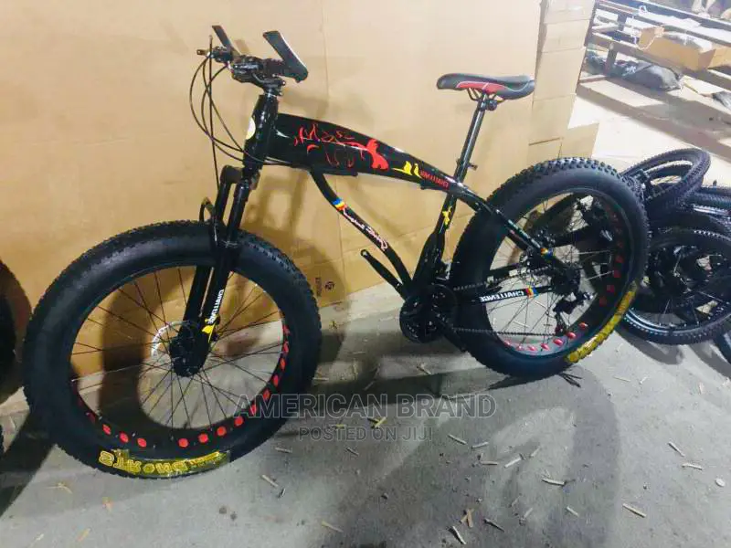 Brand New Fat Tire Bicycle Standard