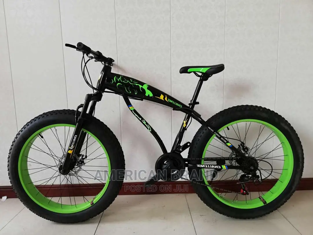 Brand New Fat Tire Bicycle Standard