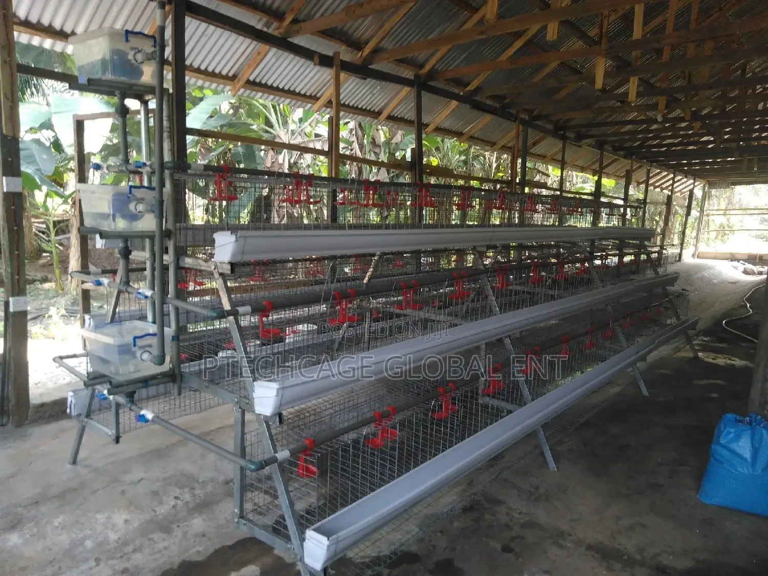 Poultry Battery Cagenation