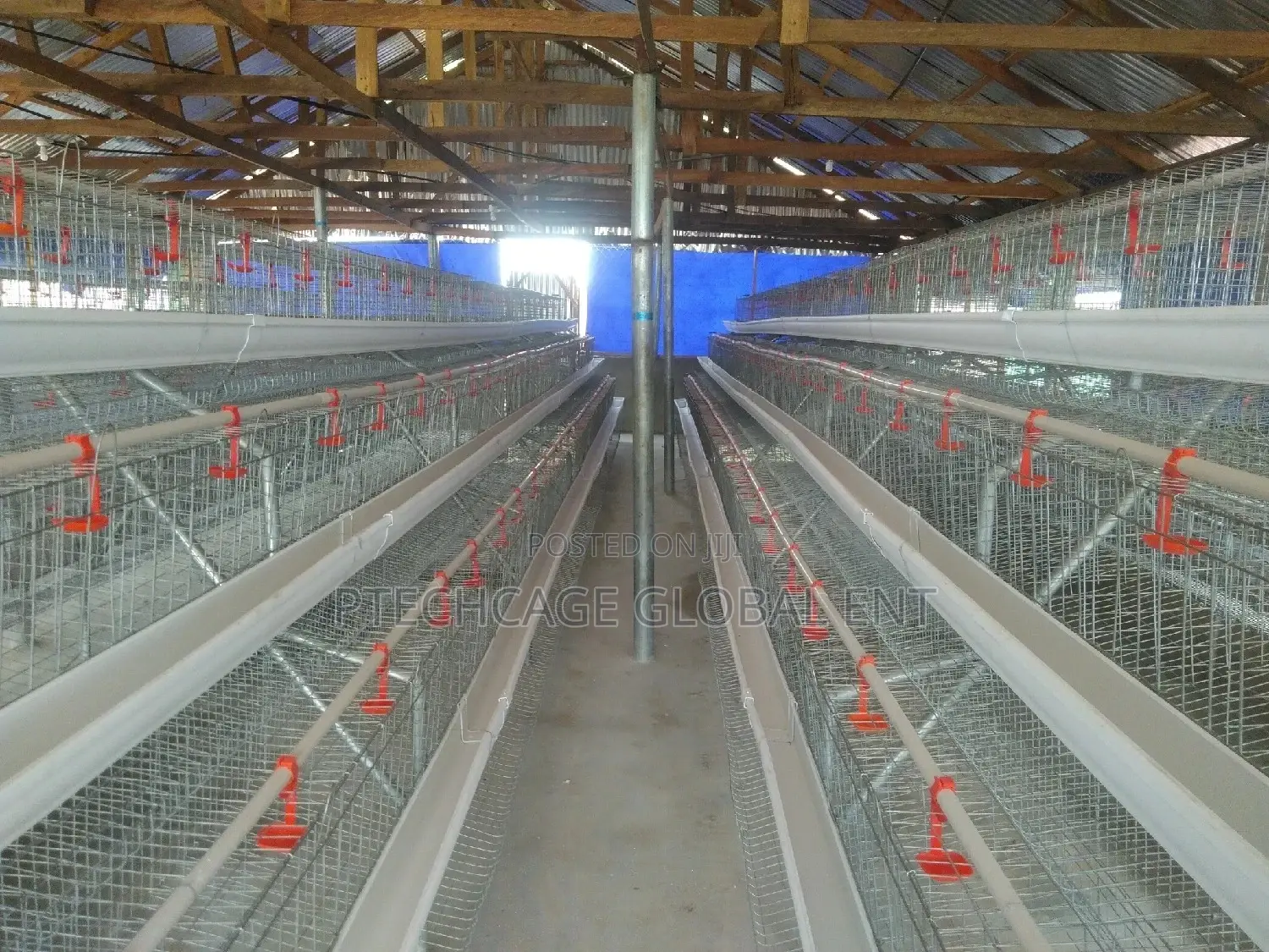 Poultry Battery Cagenation
