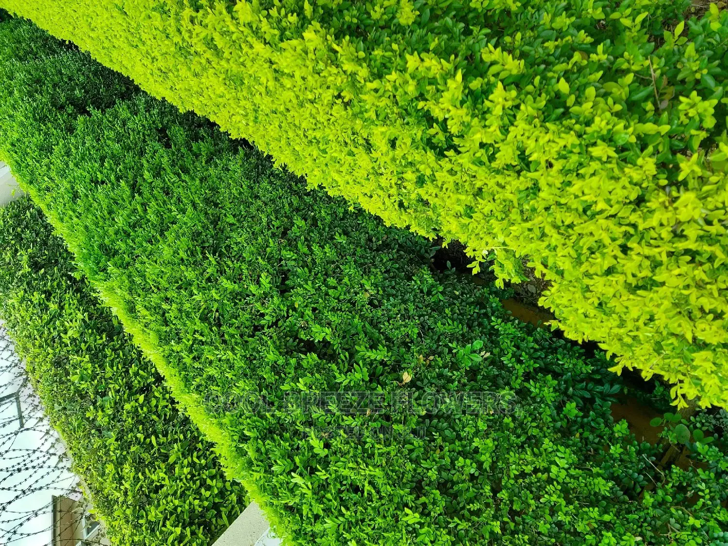 Landscaping for Your Beautification of Your Environment