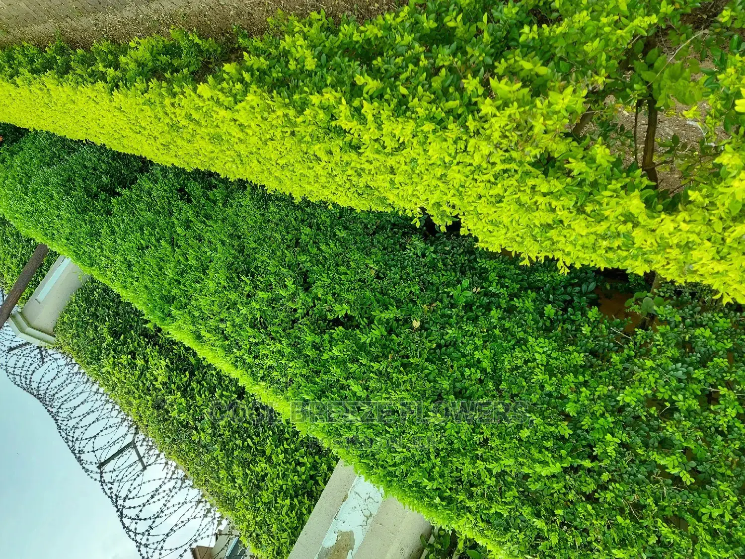 Landscaping for Your Beautification of Your Environment