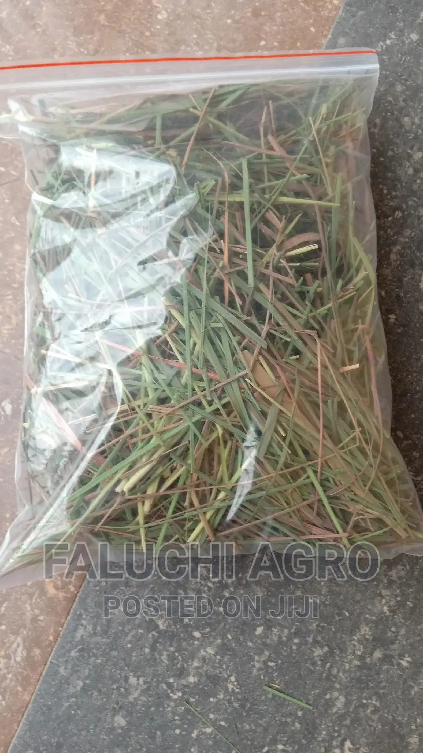 Fresh and Dried Organic Herbal Leaves (Soursop, Lemongrass