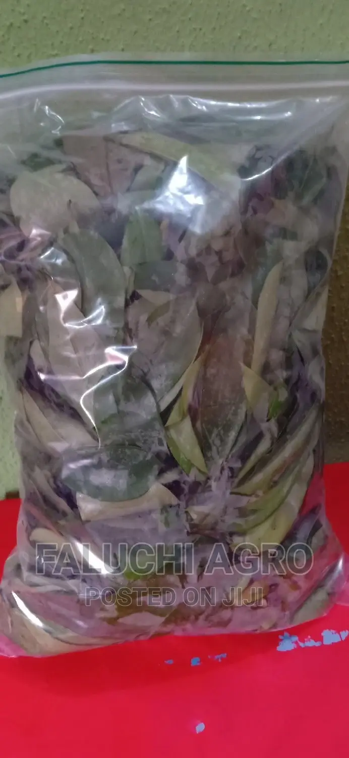 Fresh and Dried Organic Herbal Leaves (Soursop, Lemongrass