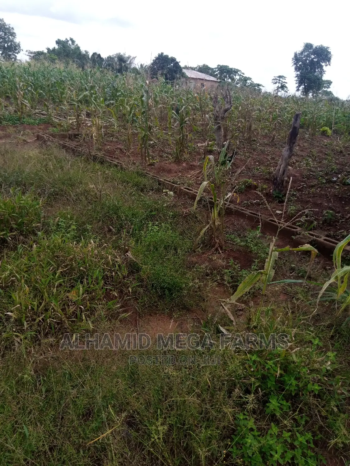 Residential 4 Plots of Land for Sales