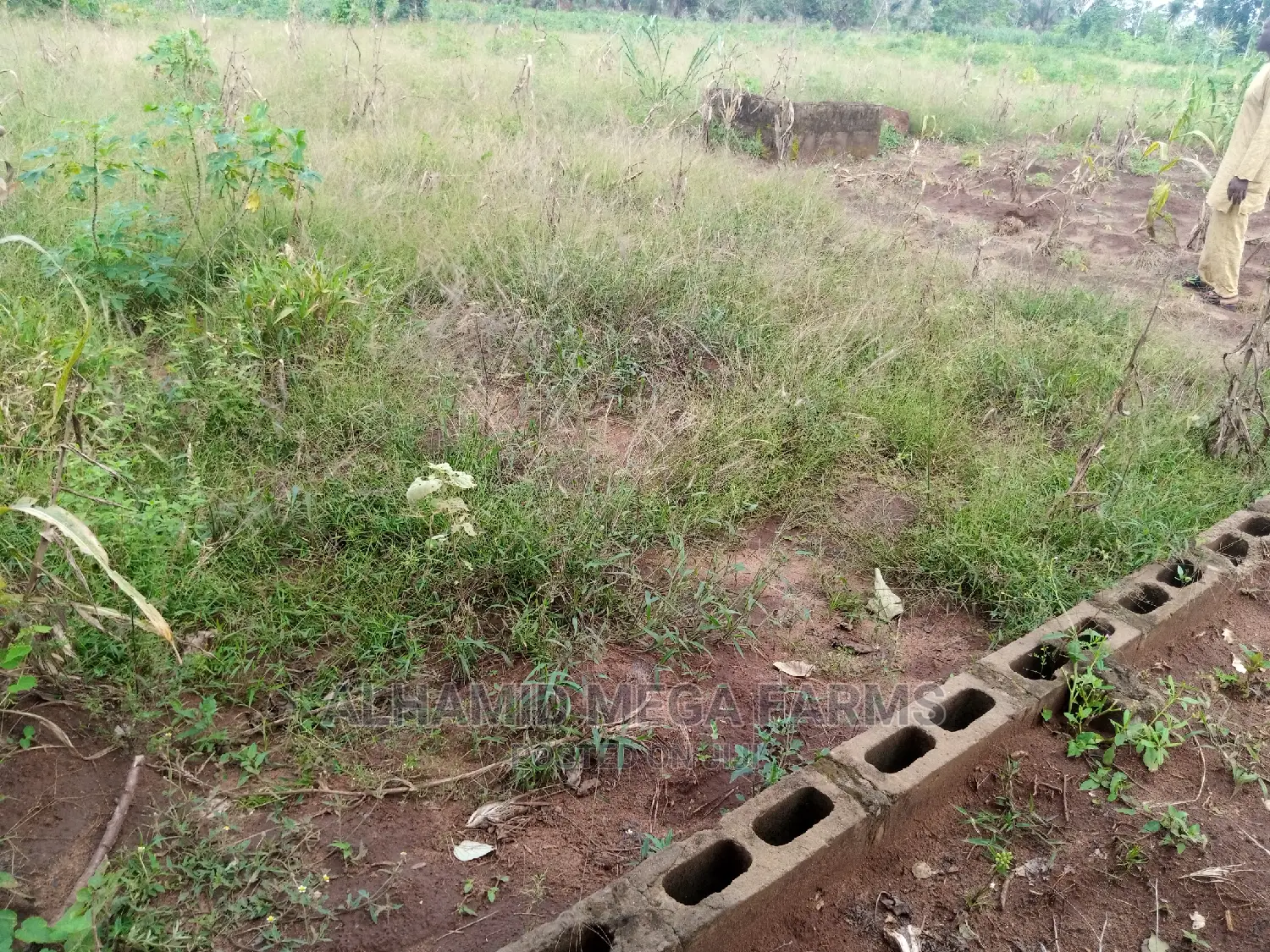 Residential 4 Plots of Land for Sales