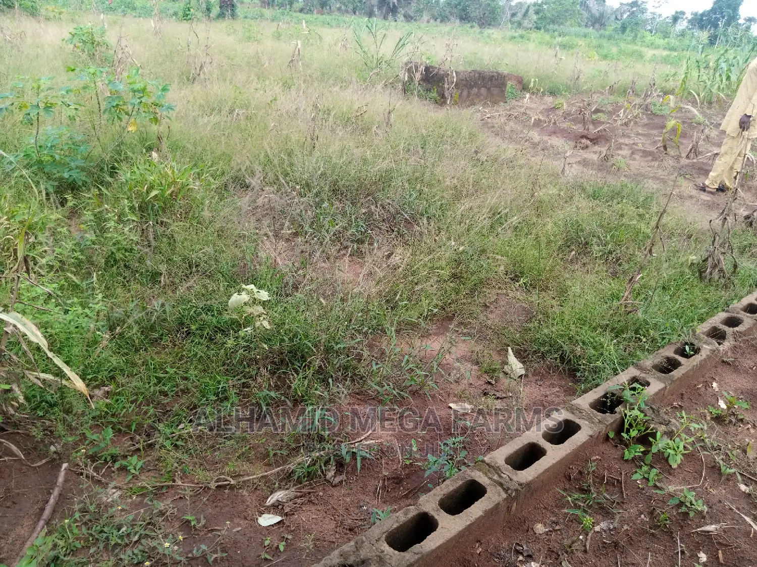 Residential 4 Plots of Land for Sales