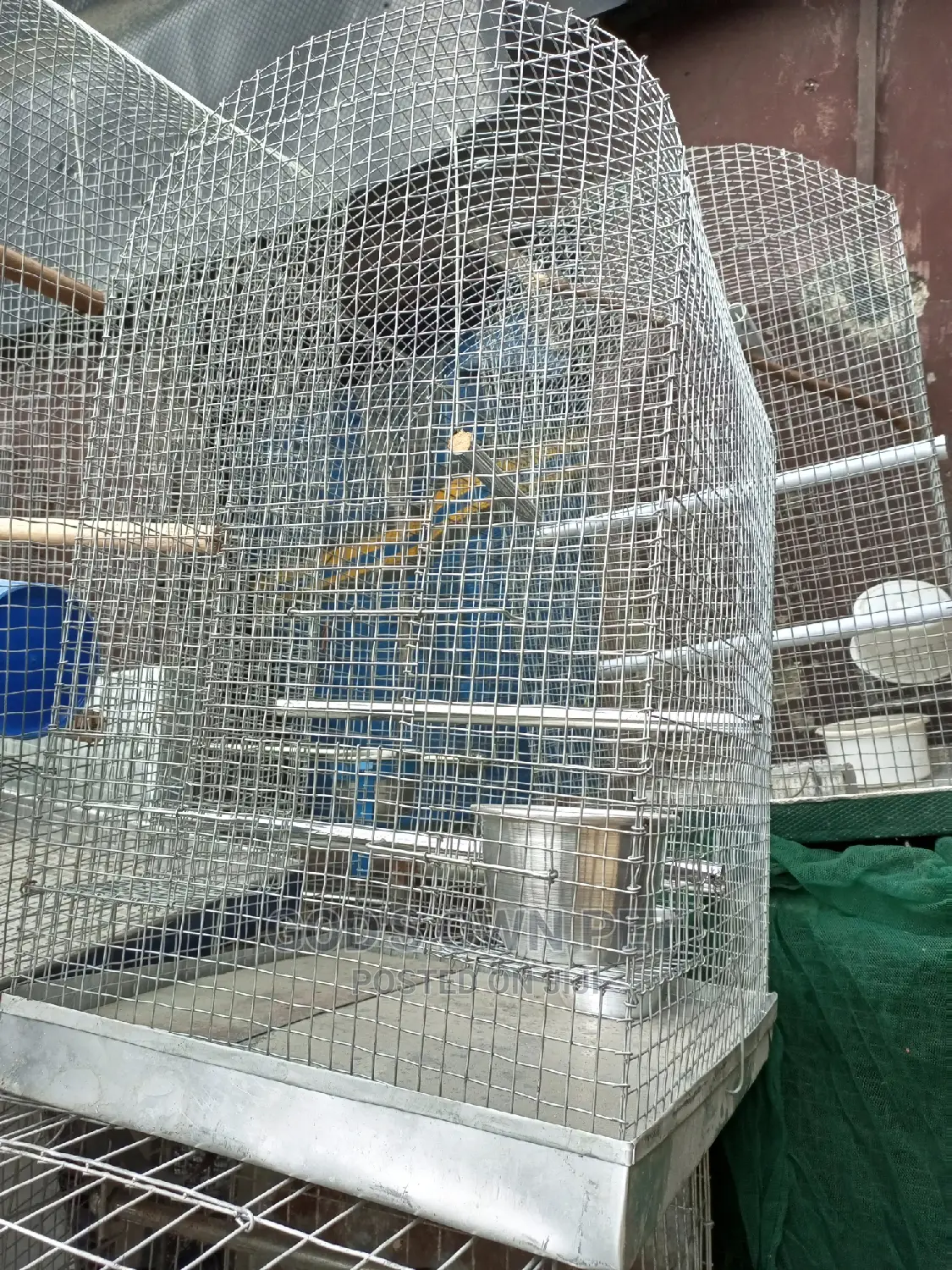 Well Built Local Cage for Your Parrot