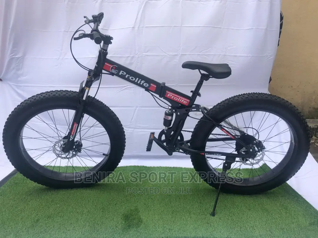 Fat Tyre Bicycle