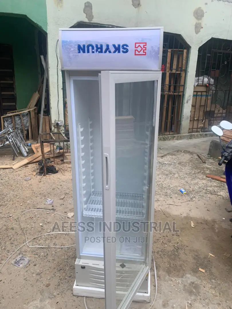 Double Door Display Freezer