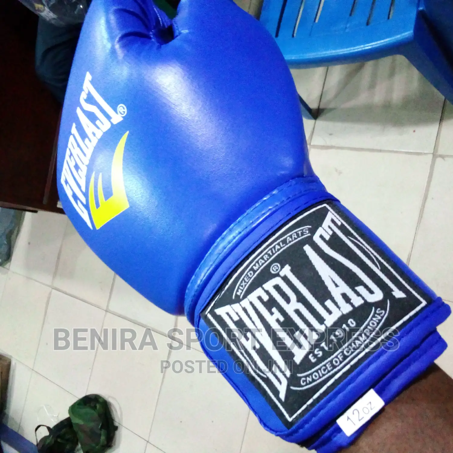 Boxing Gloves (Everlast)