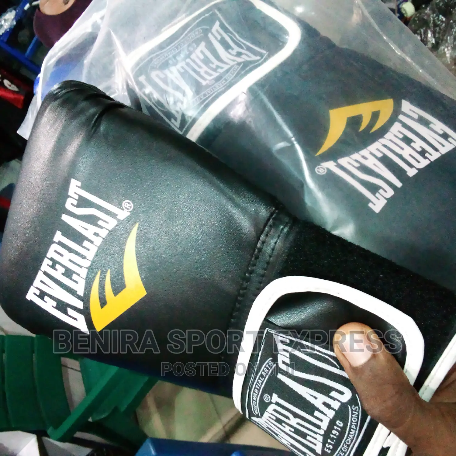 Boxing Gloves (Everlast)