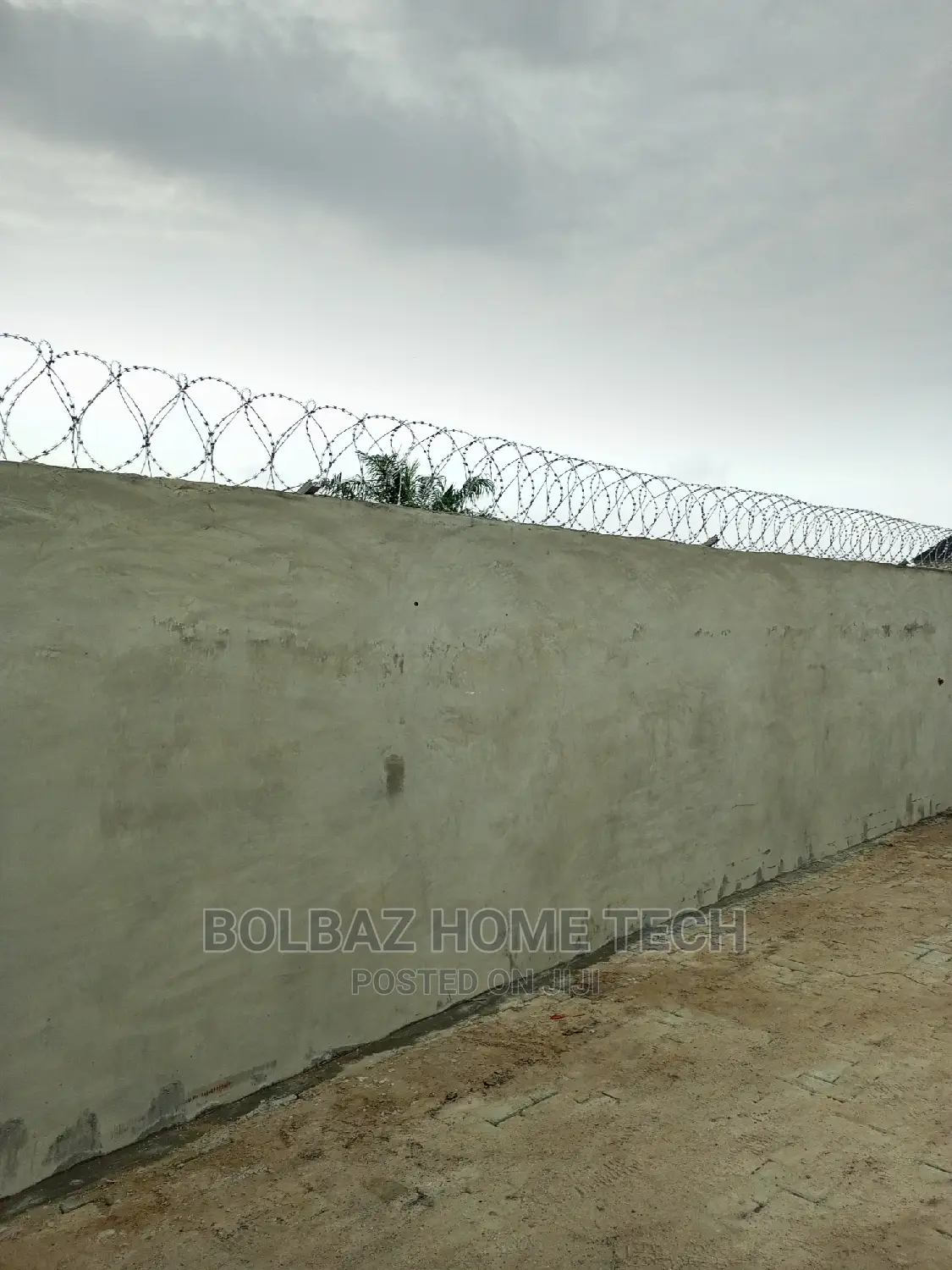 Barb Wire; American Concertina