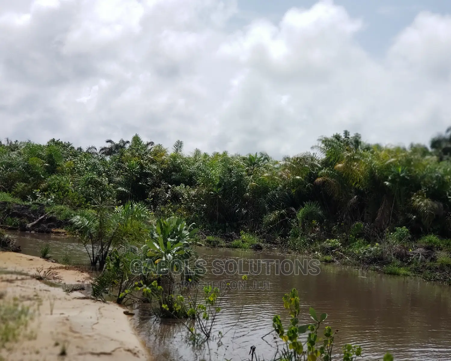 Swamp Clearing Manual and Swamp Buggy