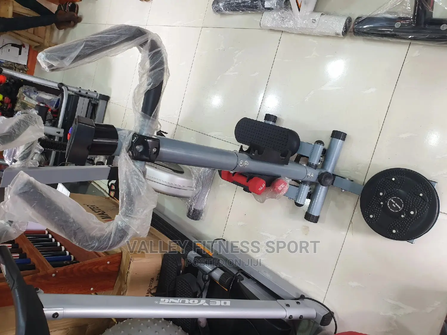 Standing Stepper With Twisters