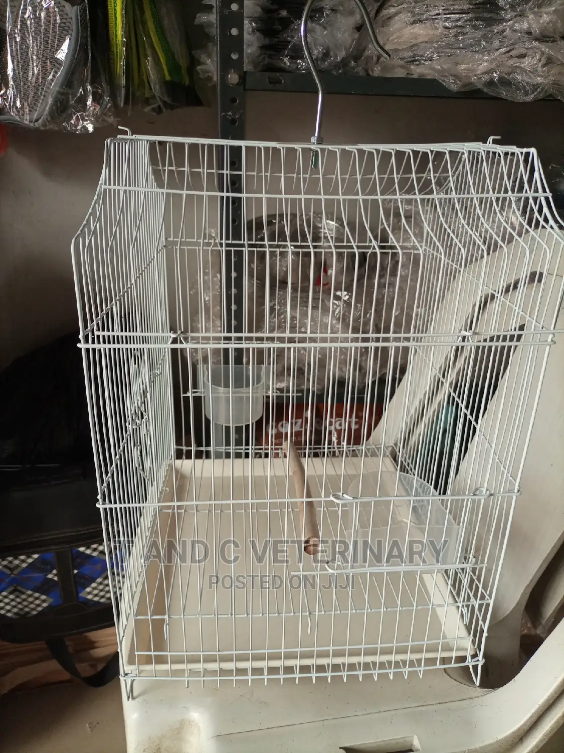 Economy Small Bird Cage