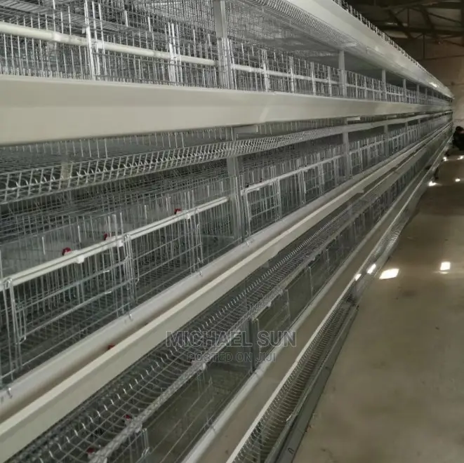 Imported Battery Cages
