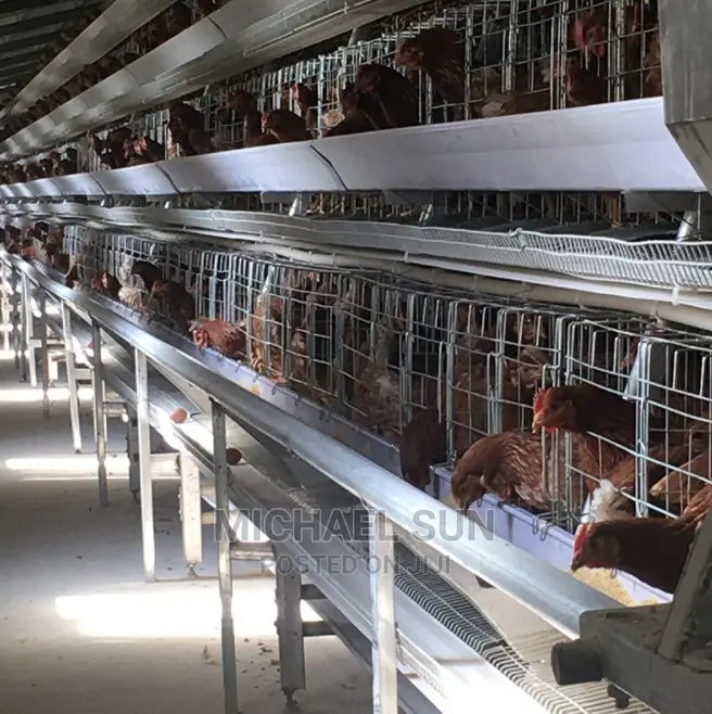 Imported Battery Cages