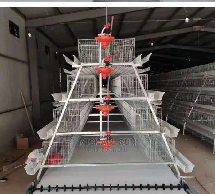 Imported Battery Cages