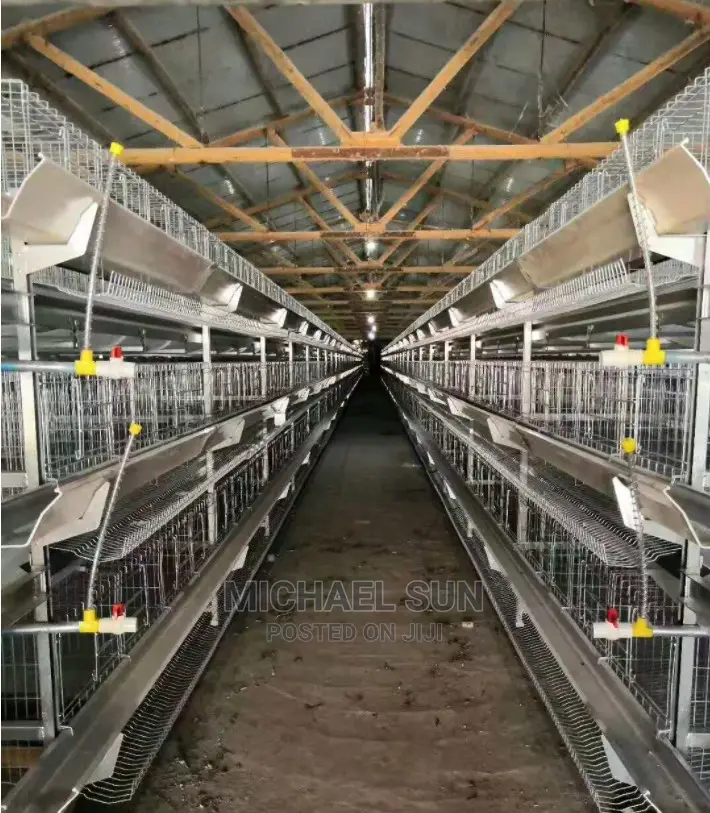 Imported Battery Cages