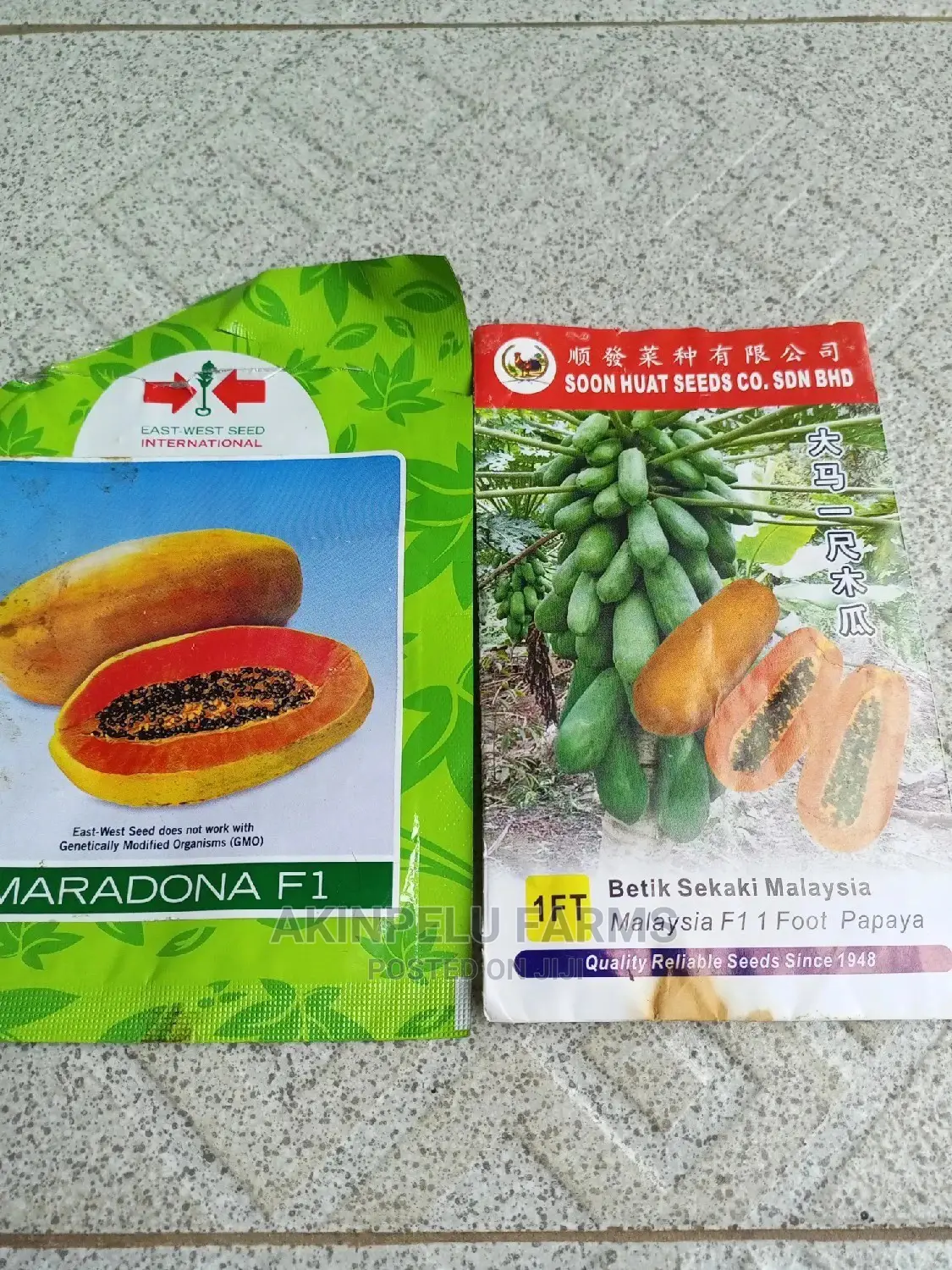 Thailand Hybrid Dwarf Pawpaw Seeds