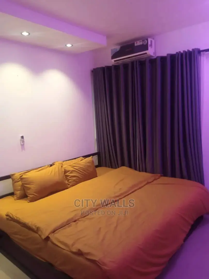 A Tastefully Furnished Mini Flat