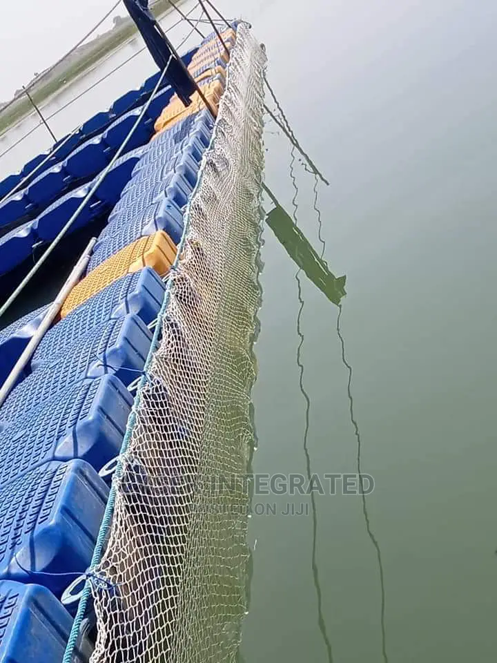 Fish Pond Construction Company