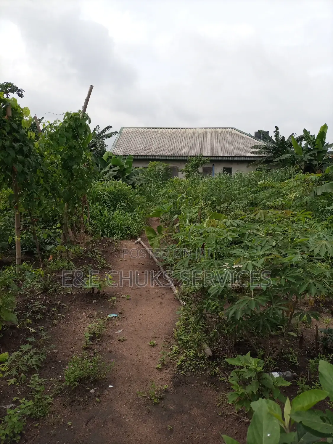 Two Plots Fenced Up With Gate at Oroigwe Road Off Covet