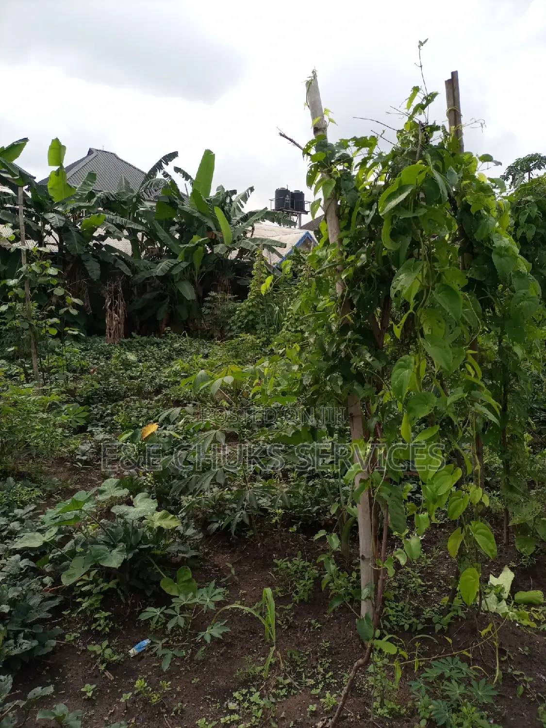 Two Plots Fenced Up With Gate at Oroigwe Road Off Covet